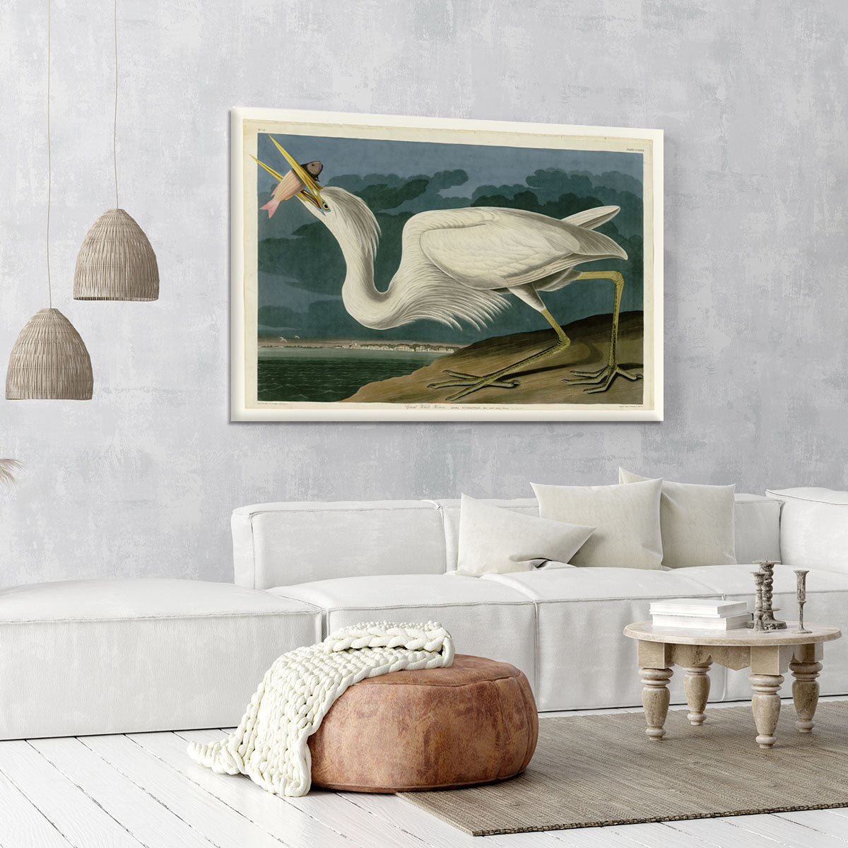 Great White Heron by Audubon Canvas Print or Poster - Canvas Art Rocks - 6