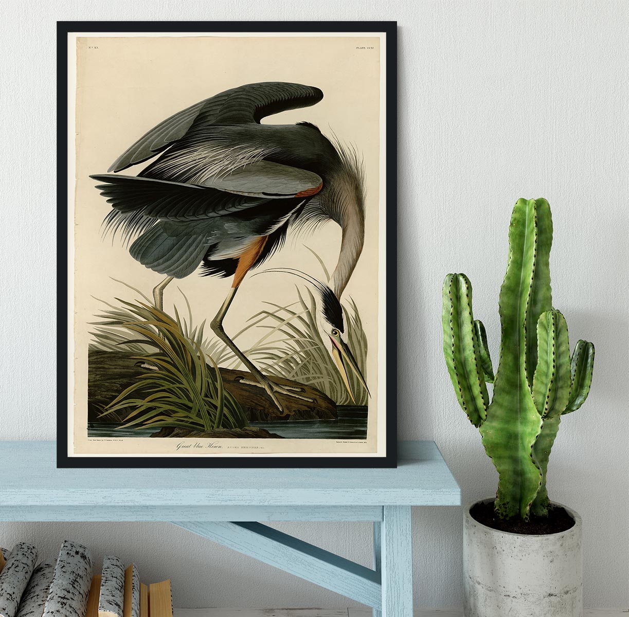 Great blue Heron by Audubon Framed Print - Canvas Art Rocks - 2