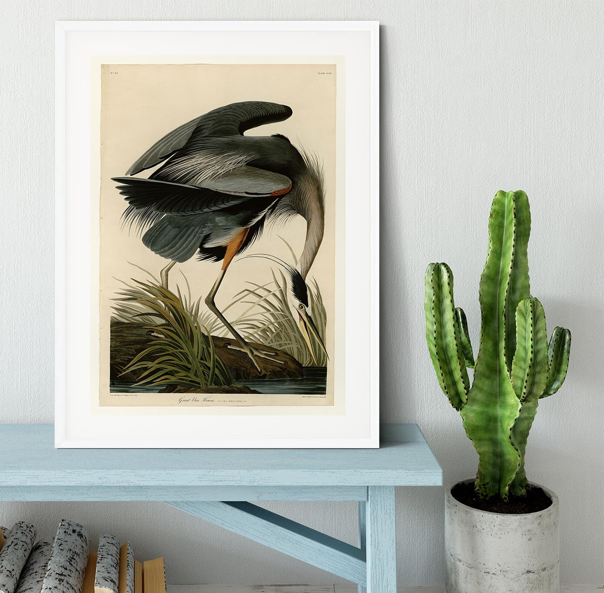 Great blue Heron by Audubon Framed Print - Canvas Art Rocks - 5