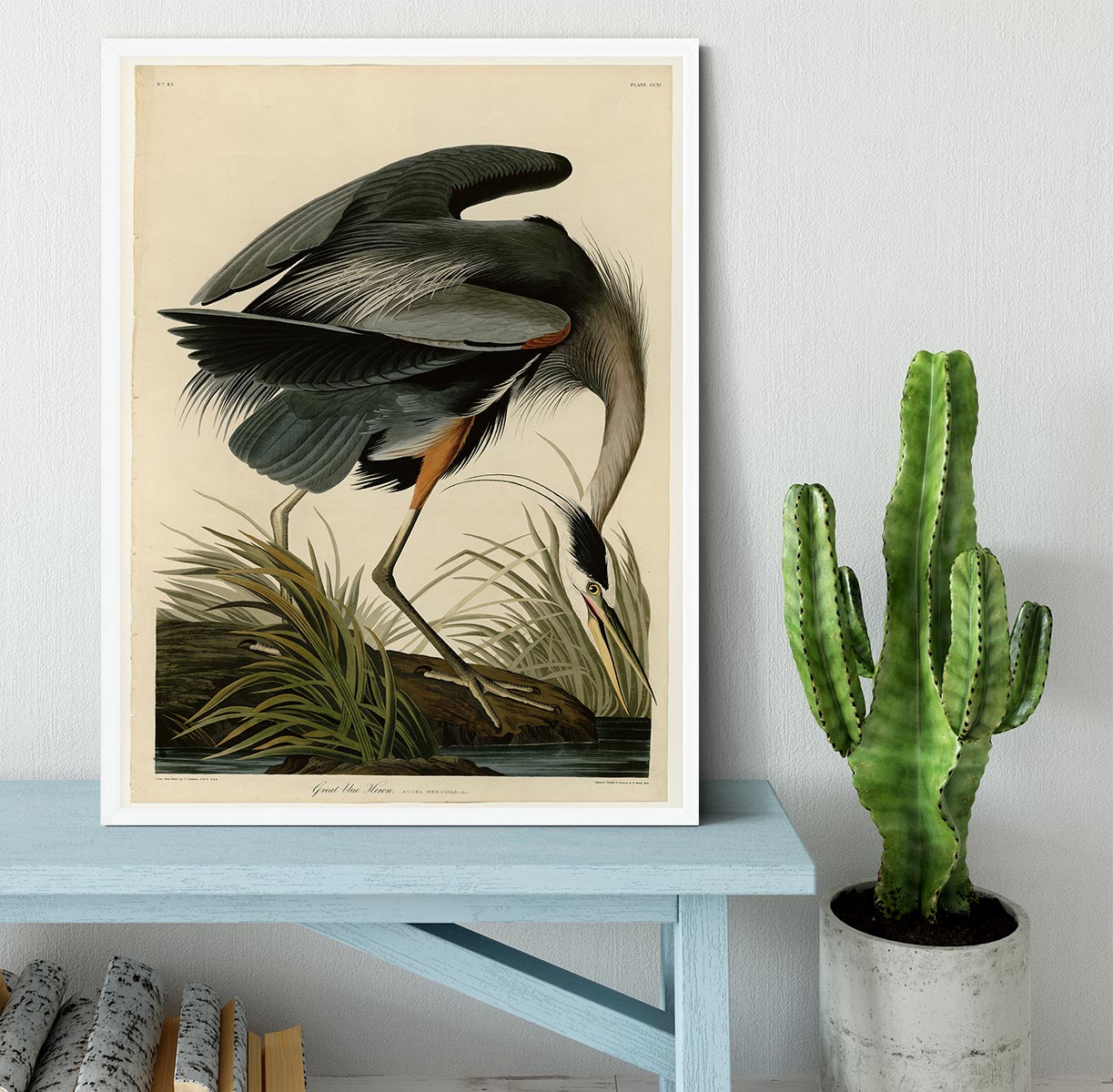 Great blue Heron by Audubon Framed Print - Canvas Art Rocks -6