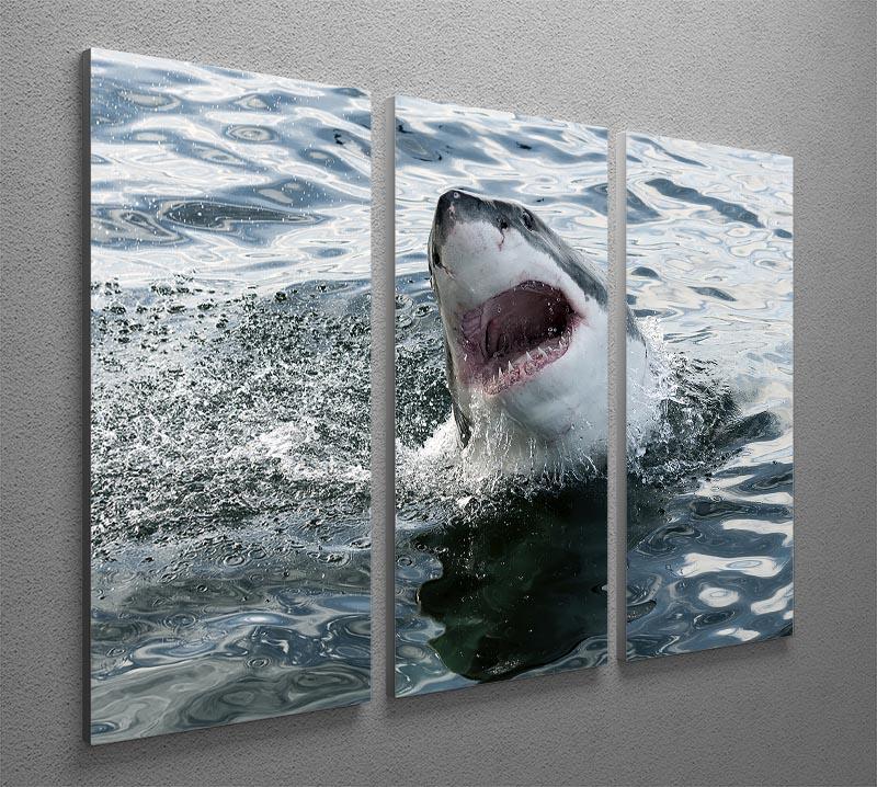 Great white shark 3 Split Panel Canvas Print - Canvas Art Rocks - 2