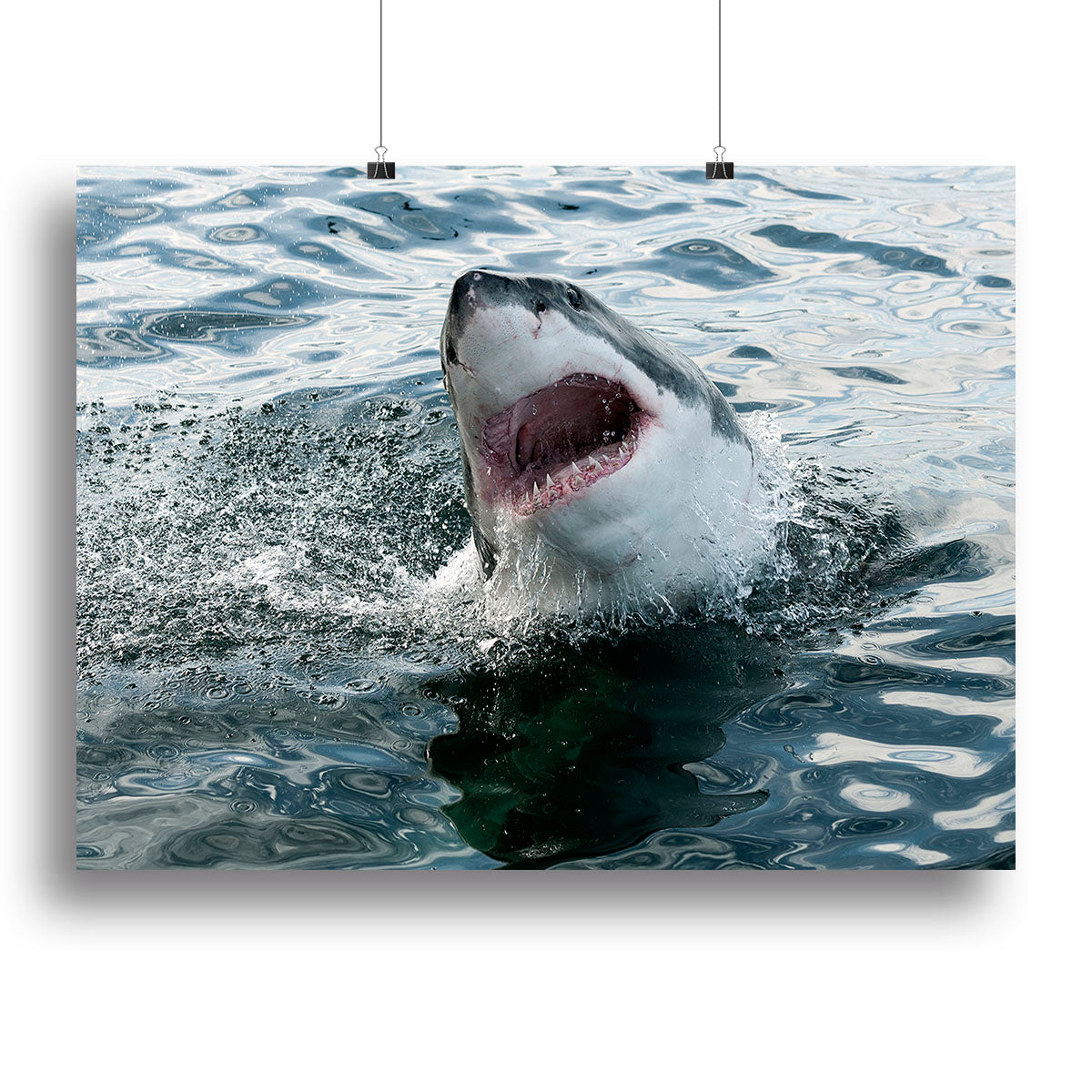 Great white shark Canvas Print or Poster - Canvas Art Rocks - 2