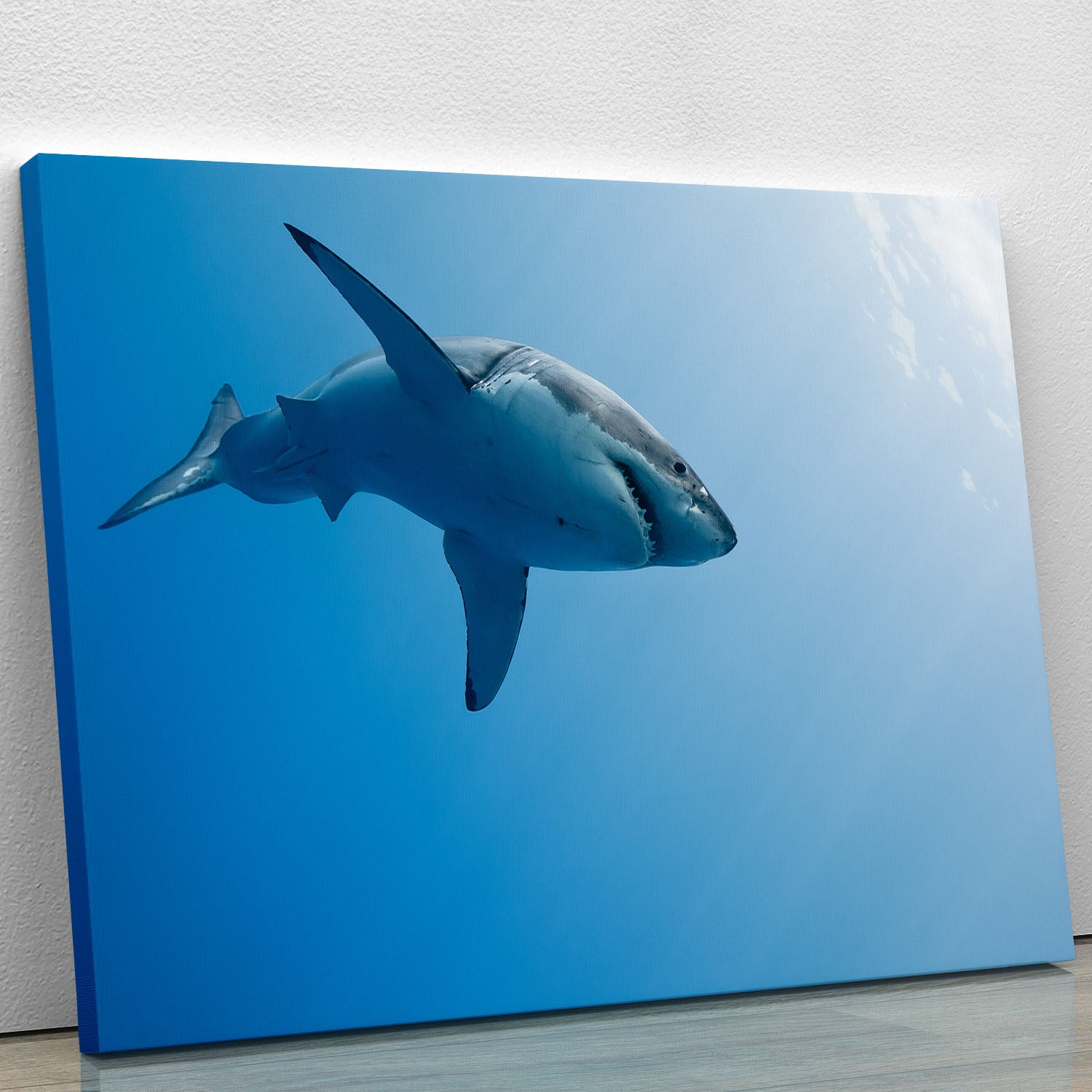 Great white shark Guadalupe Island Canvas Print or Poster - Canvas Art Rocks - 1