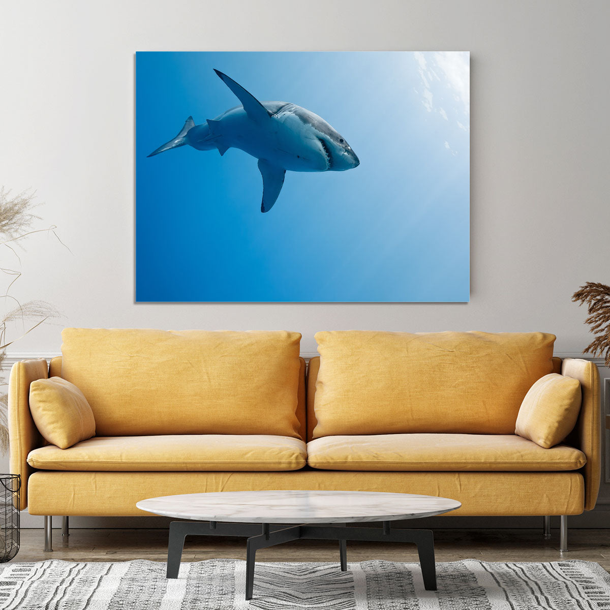 Great white shark Guadalupe Island Canvas Print or Poster - Canvas Art Rocks - 4