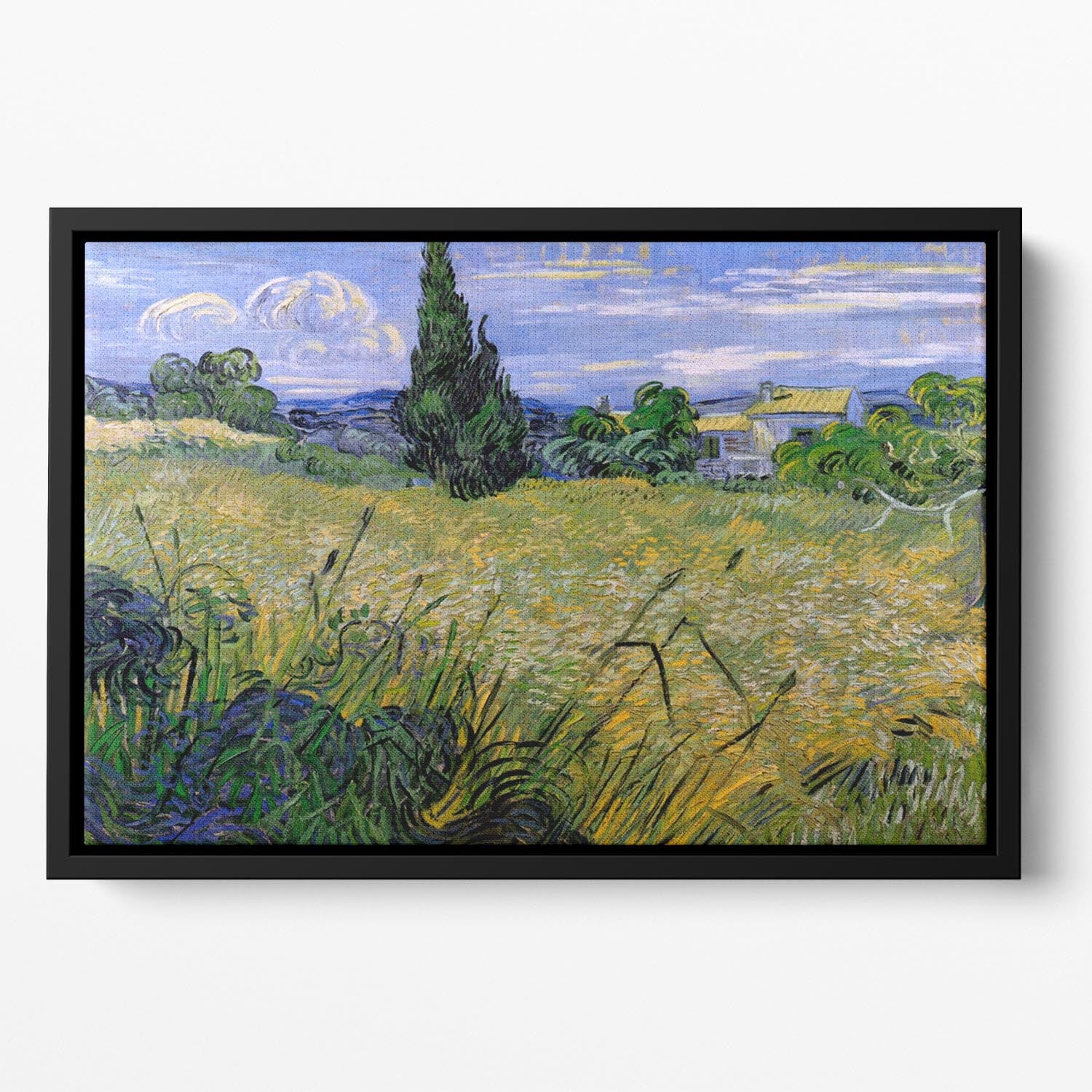 Green Wheat Field with Cypress by Van Gogh Floating Framed Canvas