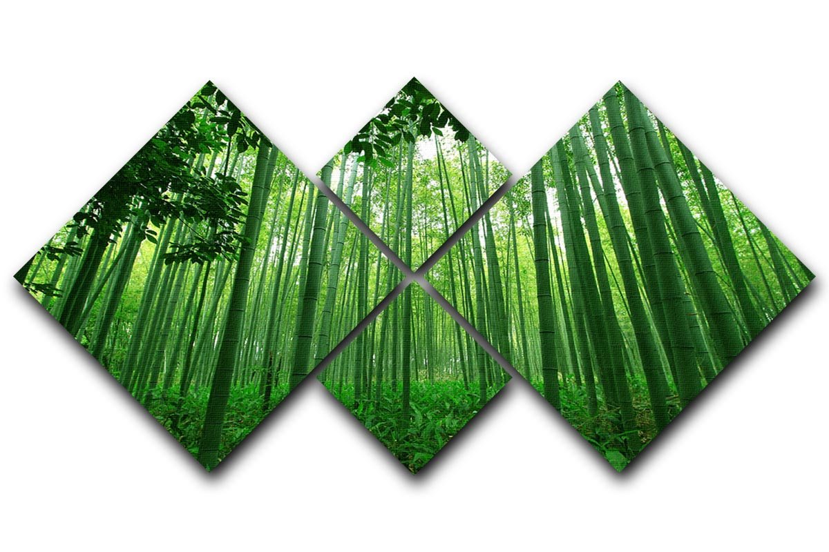 Green bamboo forest 4 Square Multi Panel Canvas  - Canvas Art Rocks - 1