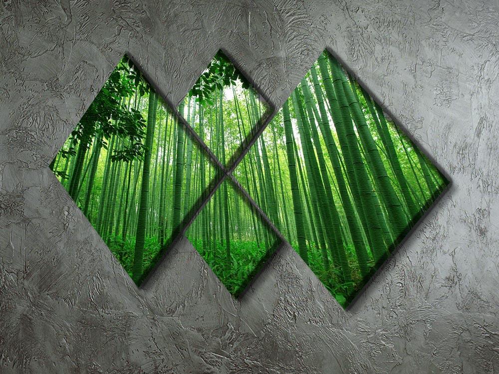 Green bamboo forest 4 Square Multi Panel Canvas  - Canvas Art Rocks - 2