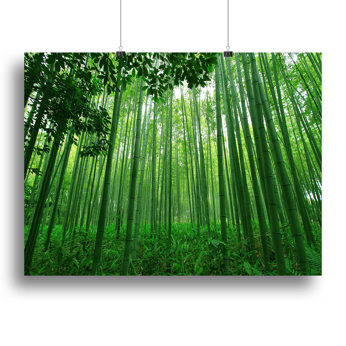 Green bamboo forest Canvas Print or Poster - Canvas Art Rocks - 2