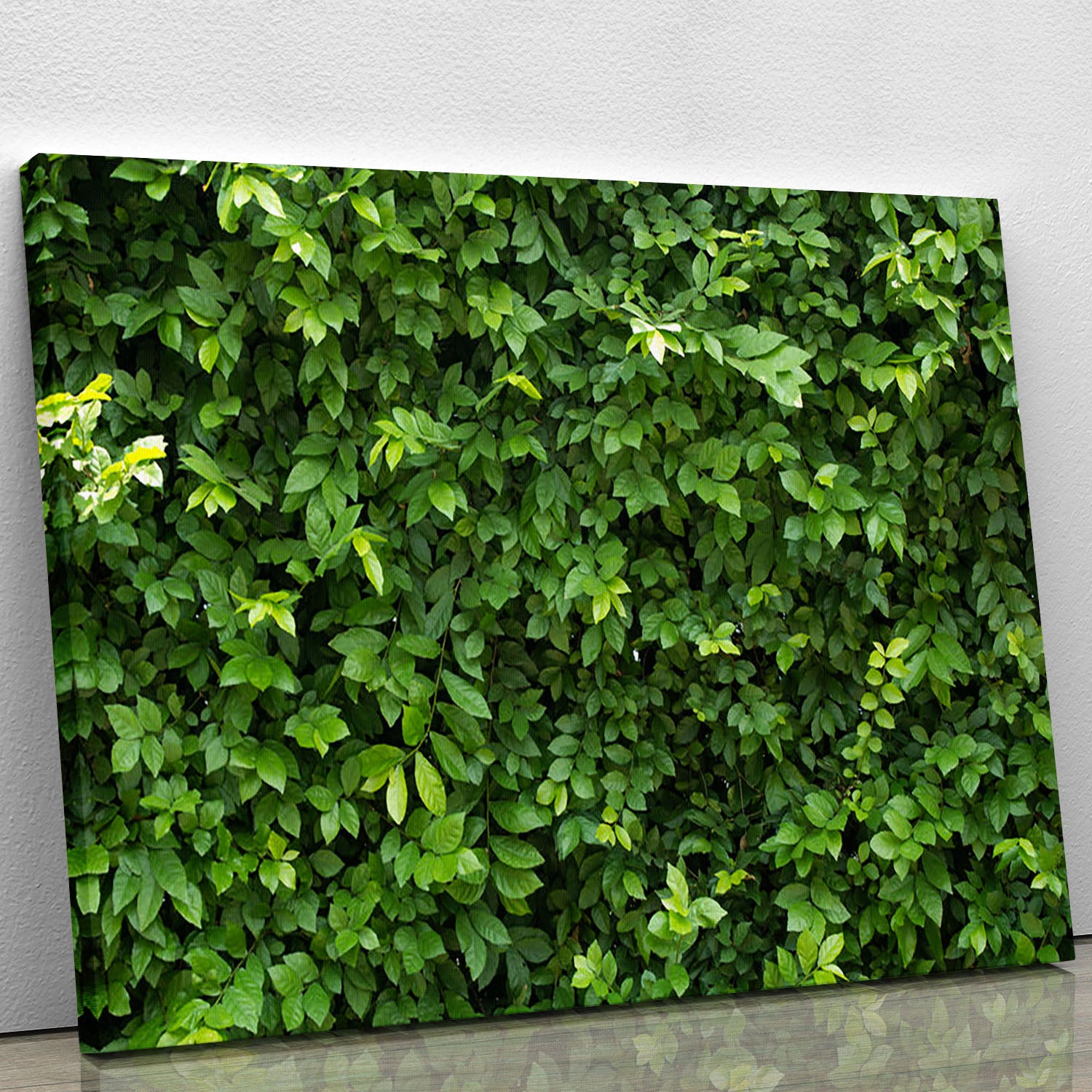 Green leaves for background Canvas Print or Poster - Canvas Art Rocks - 1