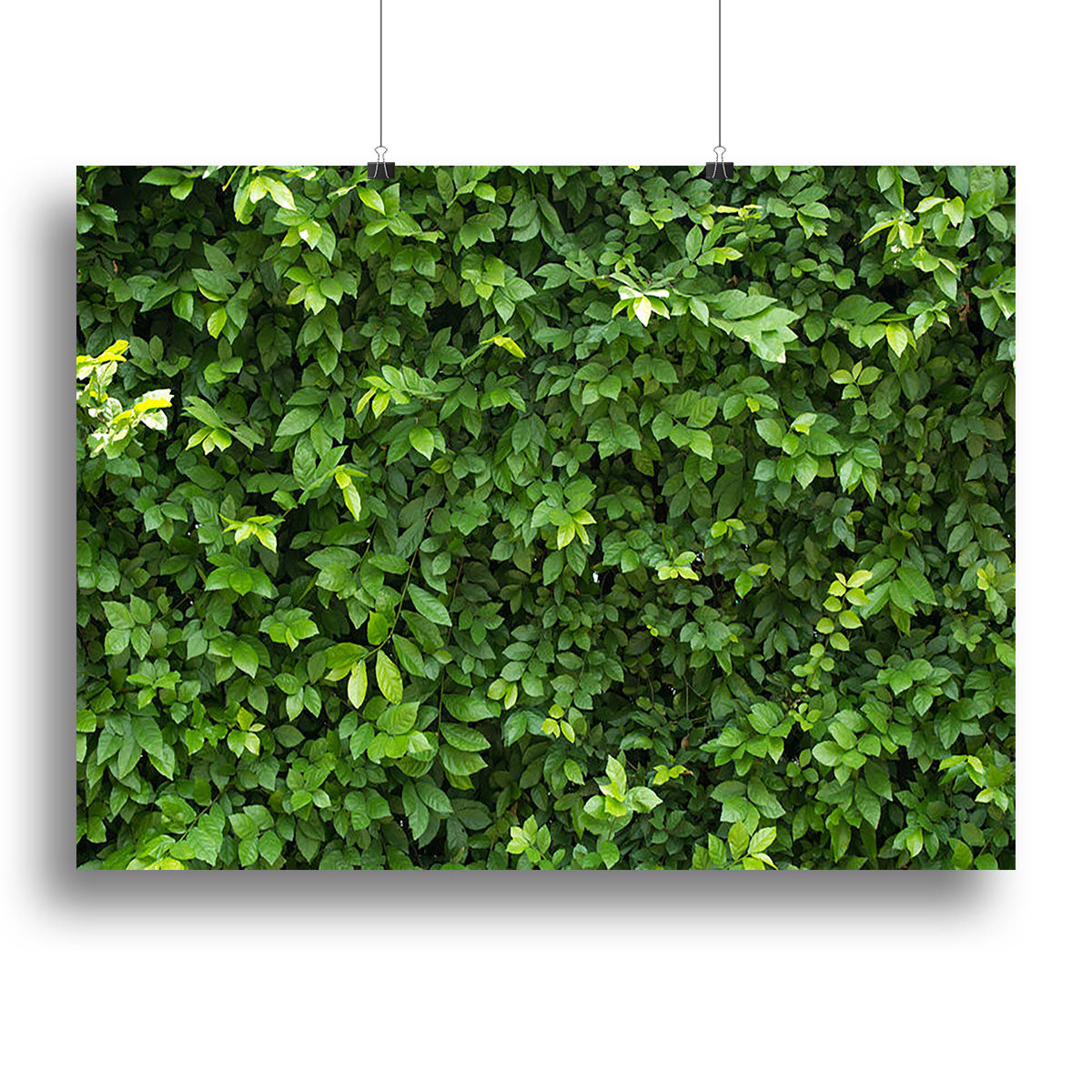 Green leaves for background Canvas Print or Poster - Canvas Art Rocks - 2
