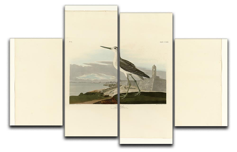 Greenshank by Audubon 4 Split Panel Canvas - Canvas Art Rocks - 1