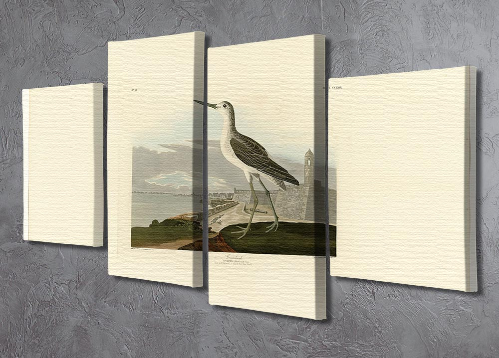 Greenshank by Audubon 4 Split Panel Canvas - Canvas Art Rocks - 2
