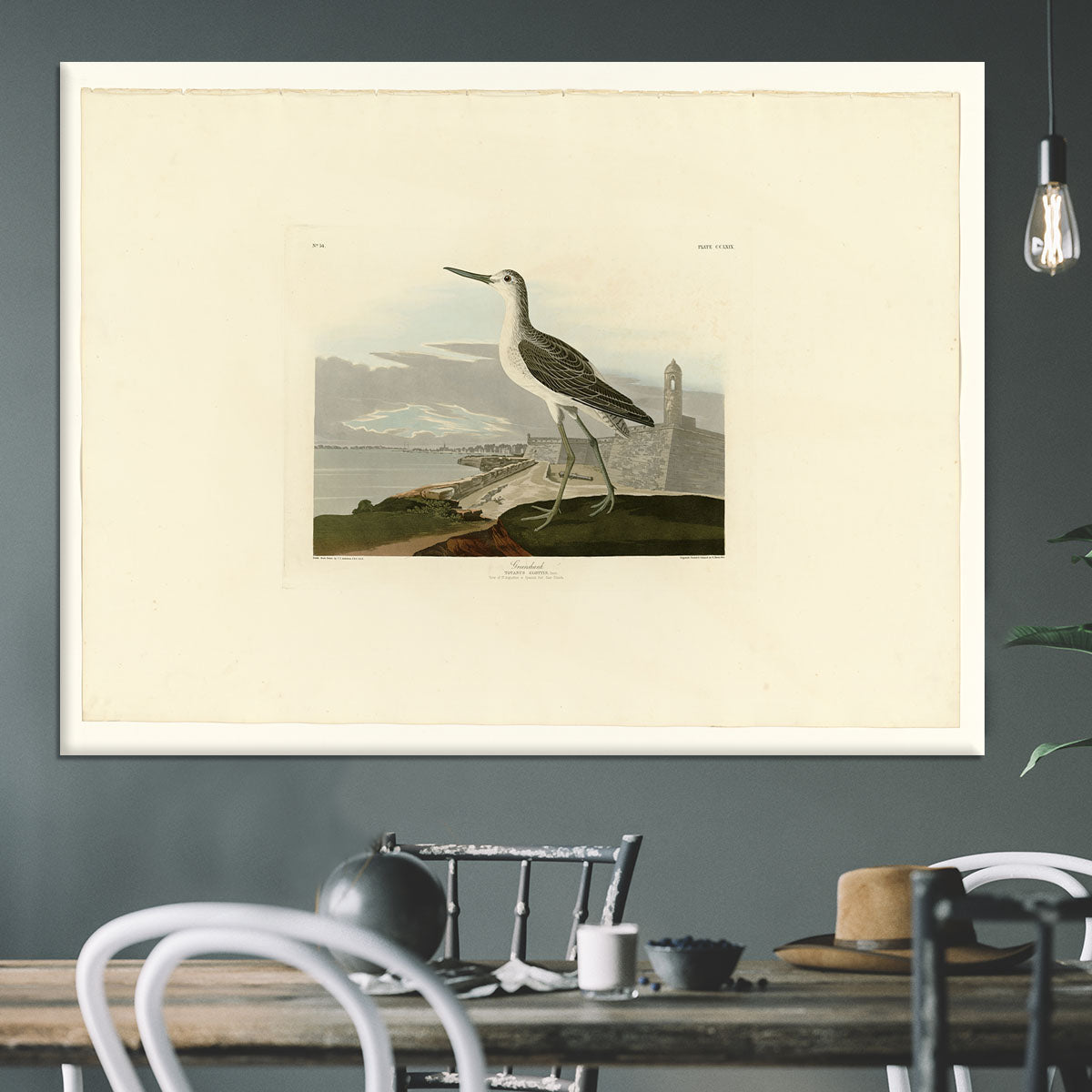 Greenshank by Audubon Canvas Print or Poster - Canvas Art Rocks - 3