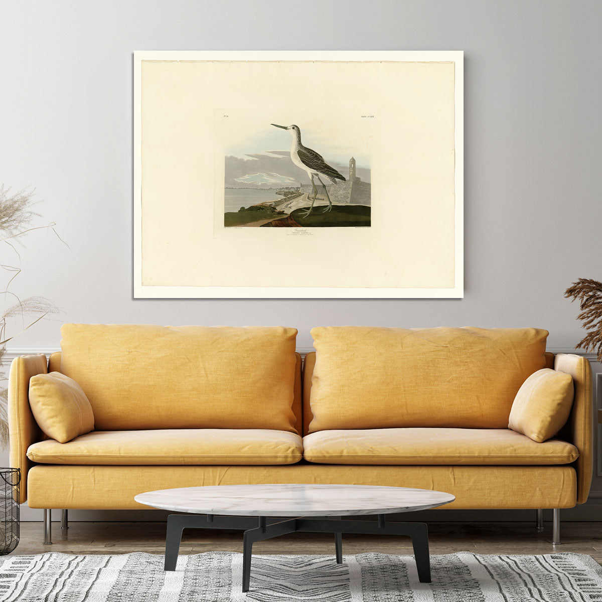 Greenshank by Audubon Canvas Print or Poster - Canvas Art Rocks - 4