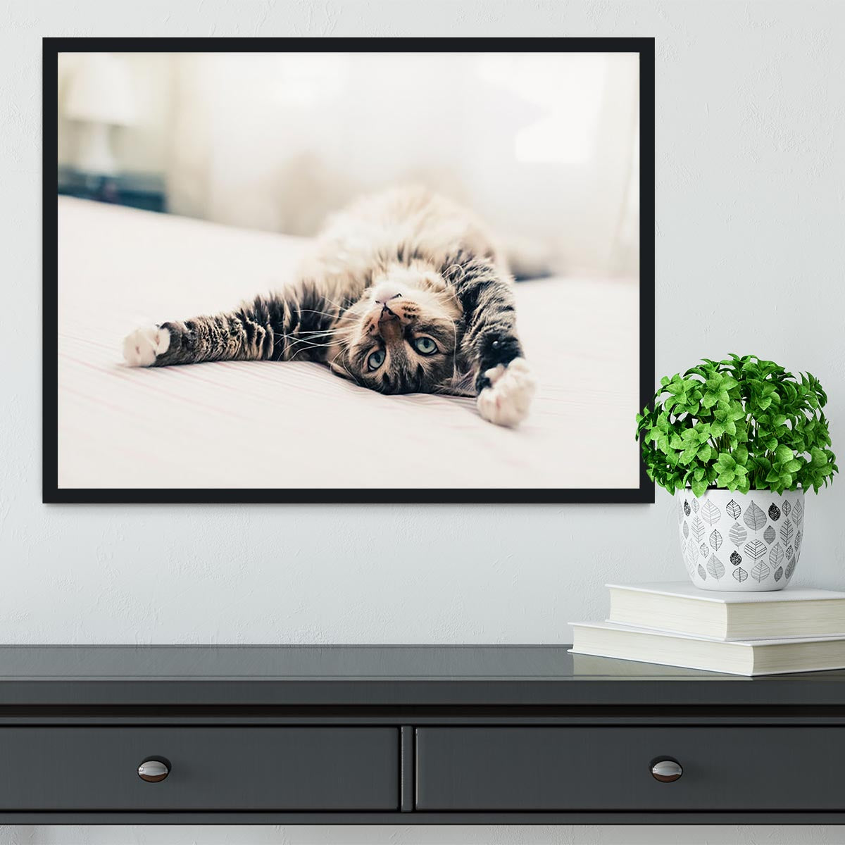 Grey cat lying on bed and stretching Framed Print - Canvas Art Rocks - 2