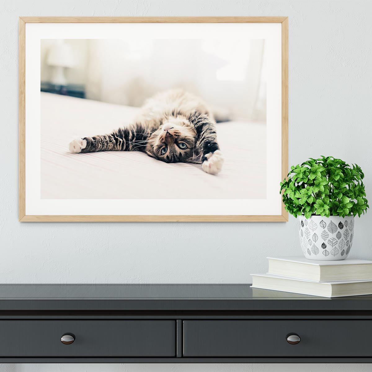 Grey cat lying on bed and stretching Framed Print - Canvas Art Rocks - 3