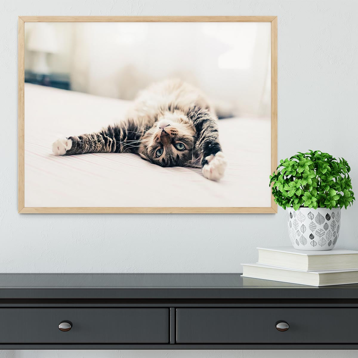 Grey cat lying on bed and stretching Framed Print - Canvas Art Rocks - 4