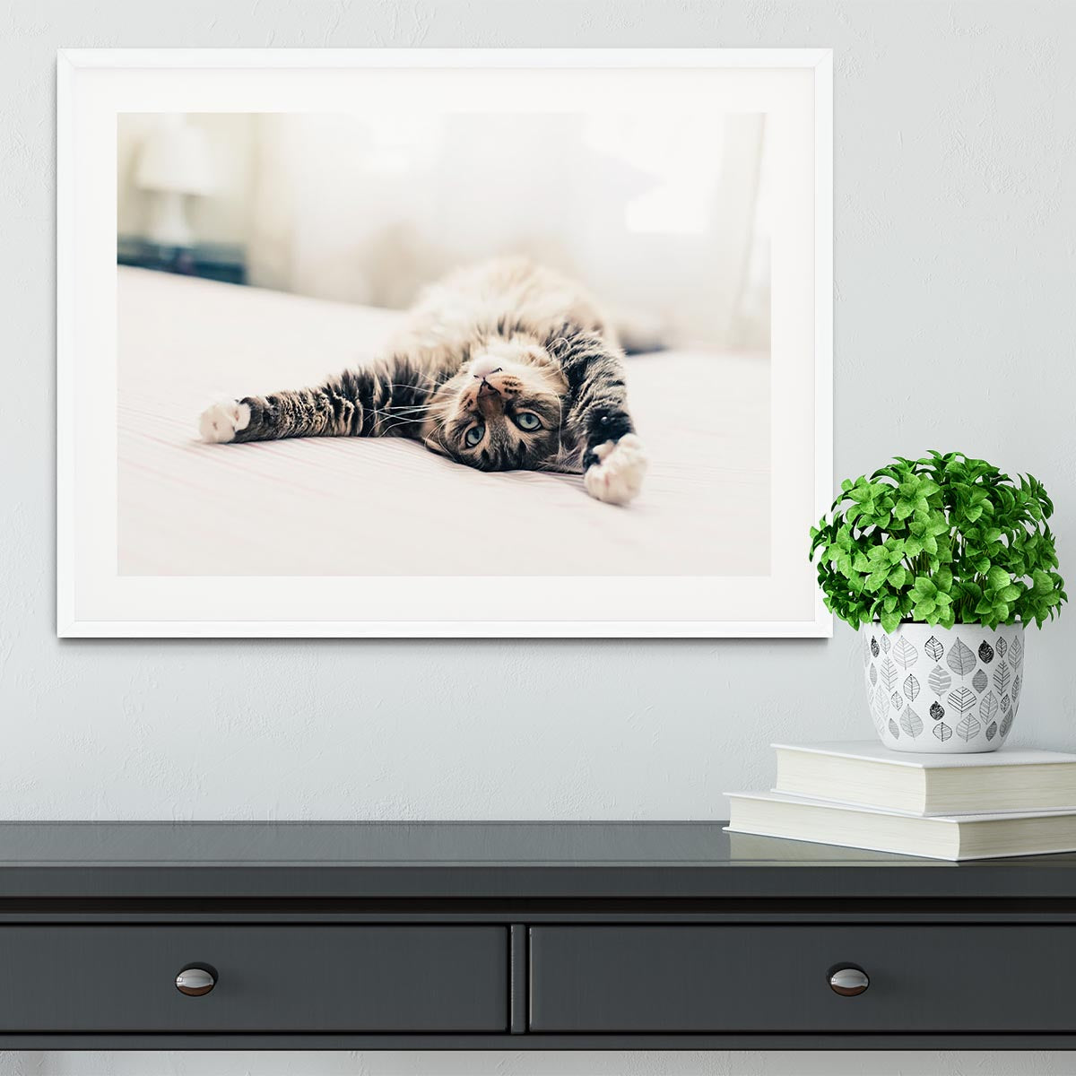 Grey cat lying on bed and stretching Framed Print - Canvas Art Rocks - 5