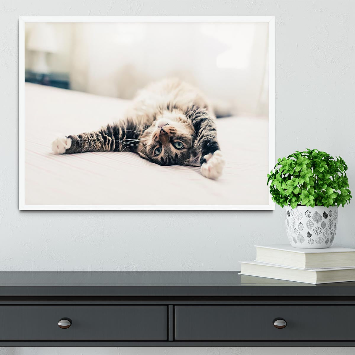 Grey cat lying on bed and stretching Framed Print - Canvas Art Rocks -6