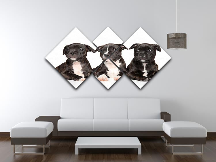 Group of Staffordshire bull terrier puppies 4 Square Multi Panel Canvas - Canvas Art Rocks - 3