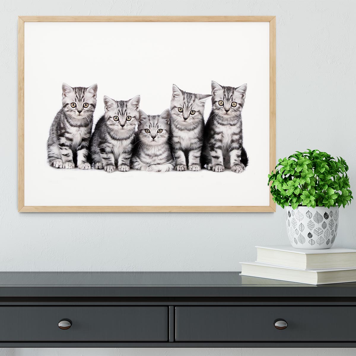 Group of five british shorthair kitten Framed Print - Canvas Art Rocks - 3