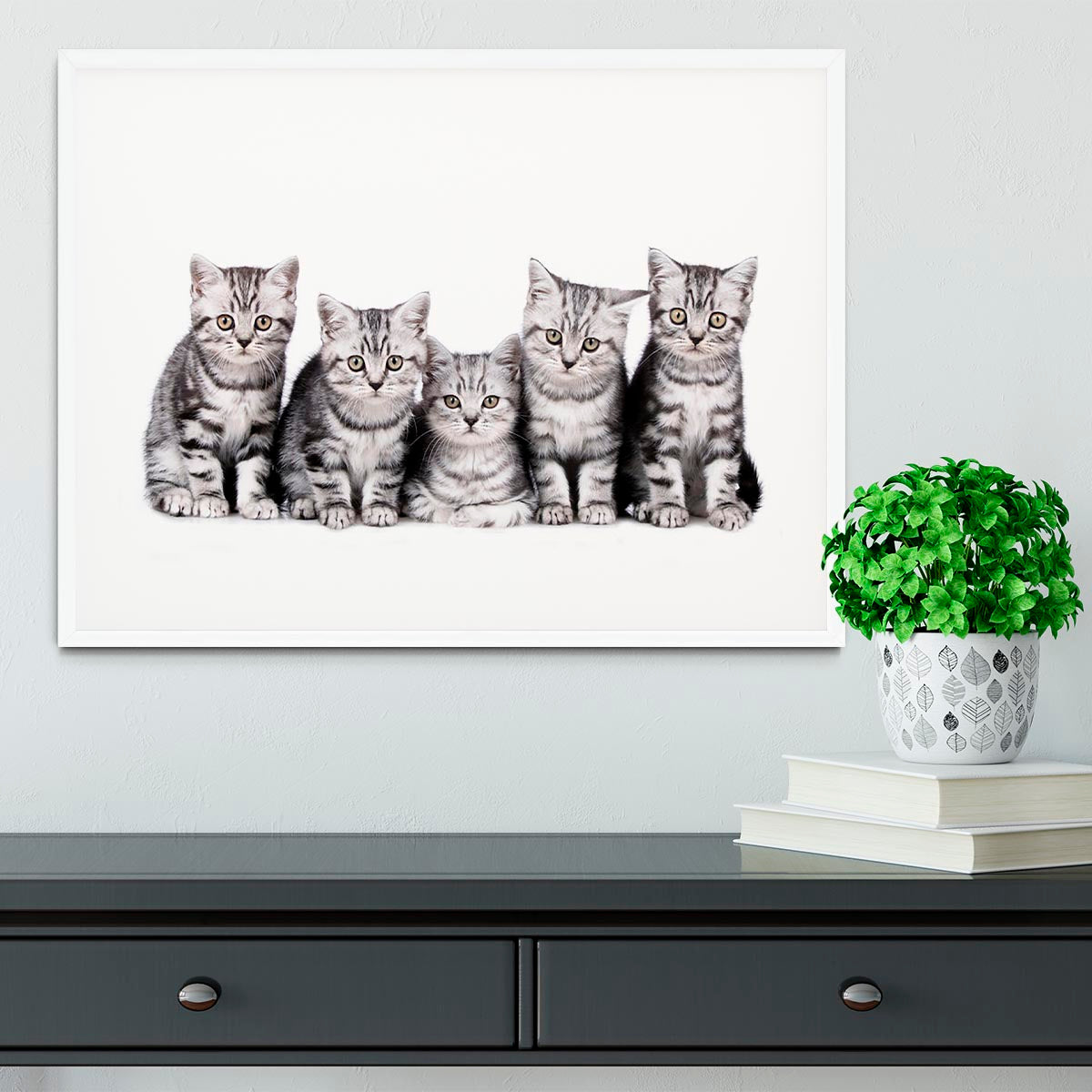 Group of five british shorthair kitten Framed Print - Canvas Art Rocks - 5