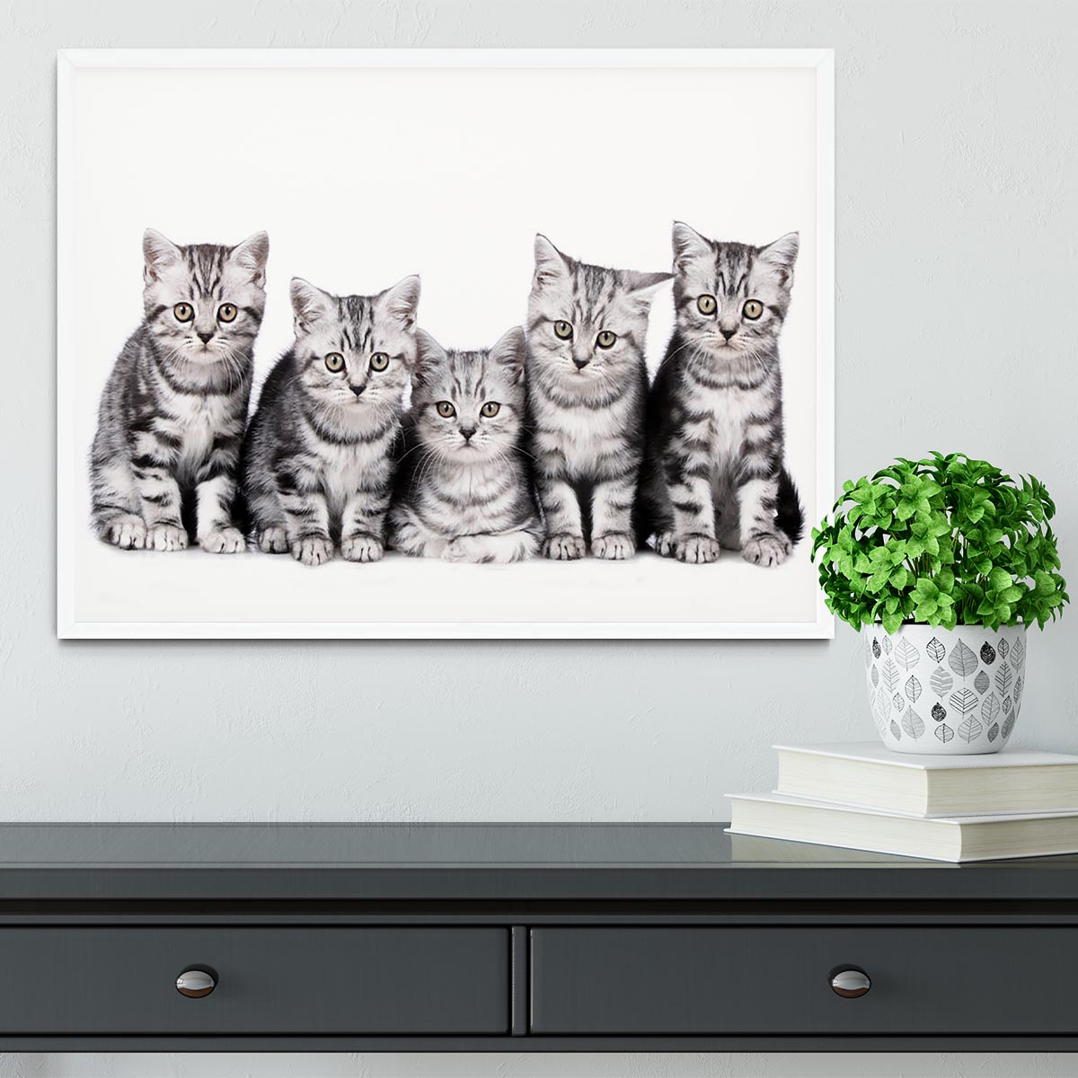 Group of five british shorthair kitten Framed Print - Canvas Art Rocks -6
