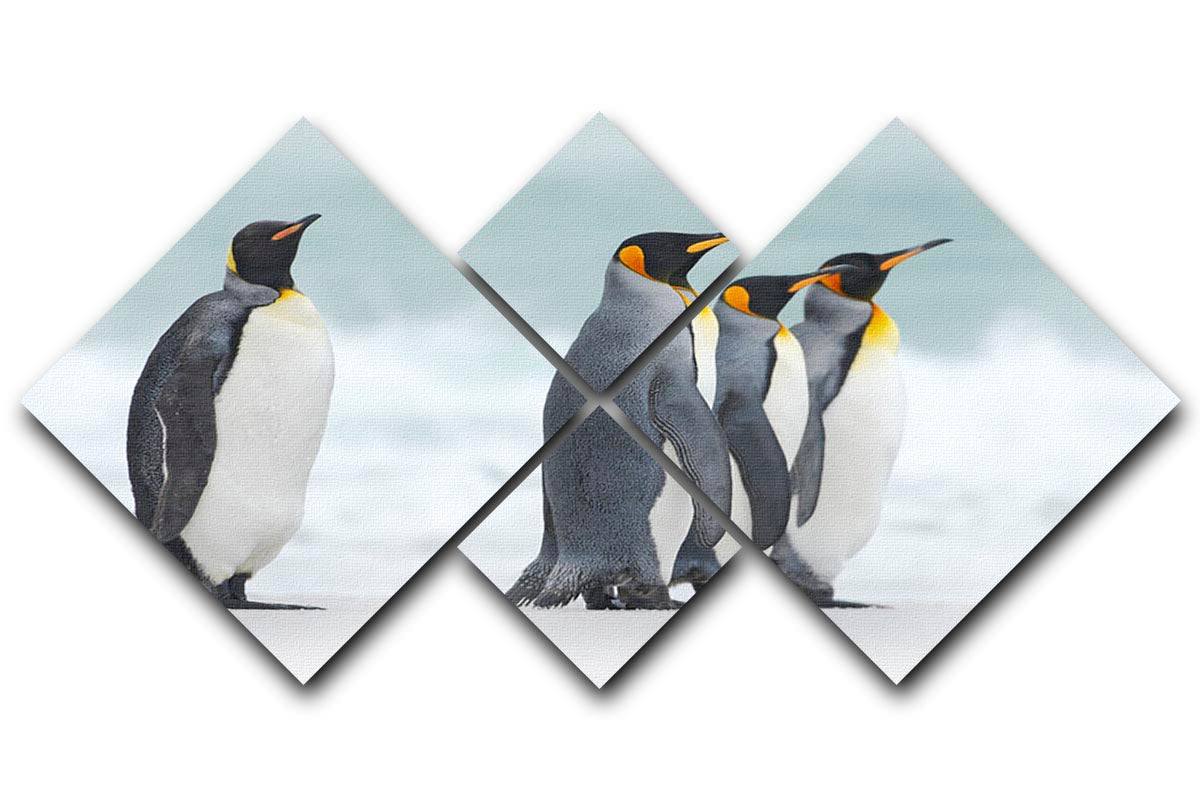 Group of four King penguins 4 Square Multi Panel Canvas - Canvas Art Rocks - 1