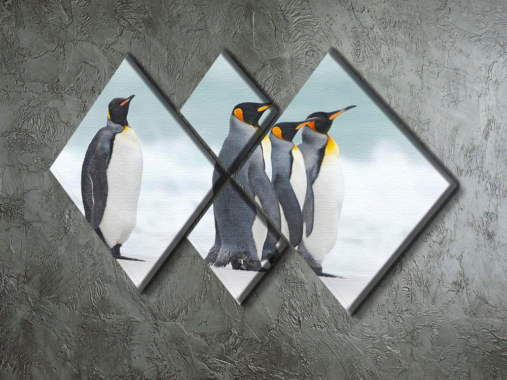 Group of four King penguins 4 Square Multi Panel Canvas - Canvas Art Rocks - 2