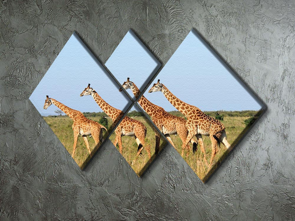 Group of giraffes in the Masai Mara Reserve 4 Square Multi Panel Canvas - Canvas Art Rocks - 2