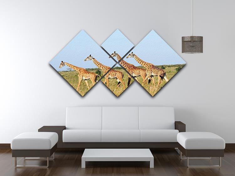Group of giraffes in the Masai Mara Reserve 4 Square Multi Panel Canvas - Canvas Art Rocks - 3