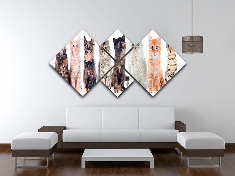 Group of kitten in front of white background 4 Square Multi Panel Canvas - Canvas Art Rocks - 3