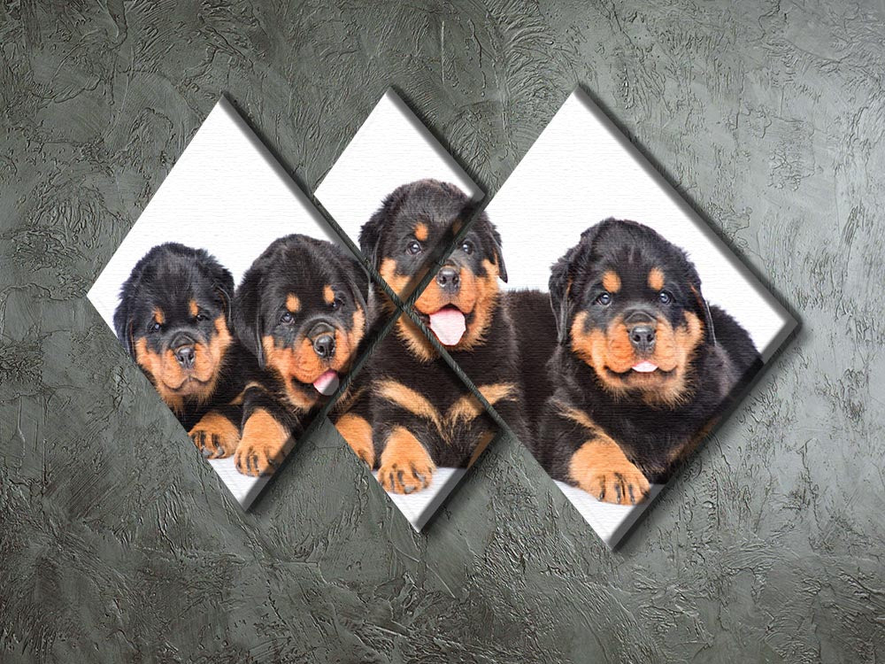 Group of puppies Rottweiler 4 Square Multi Panel Canvas - Canvas Art Rocks - 2