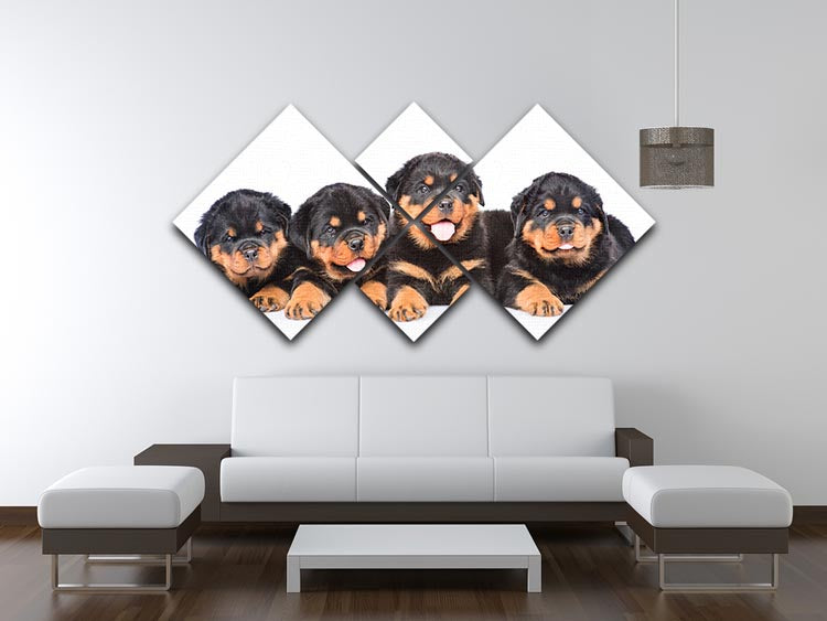 Group of puppies Rottweiler 4 Square Multi Panel Canvas - Canvas Art Rocks - 3