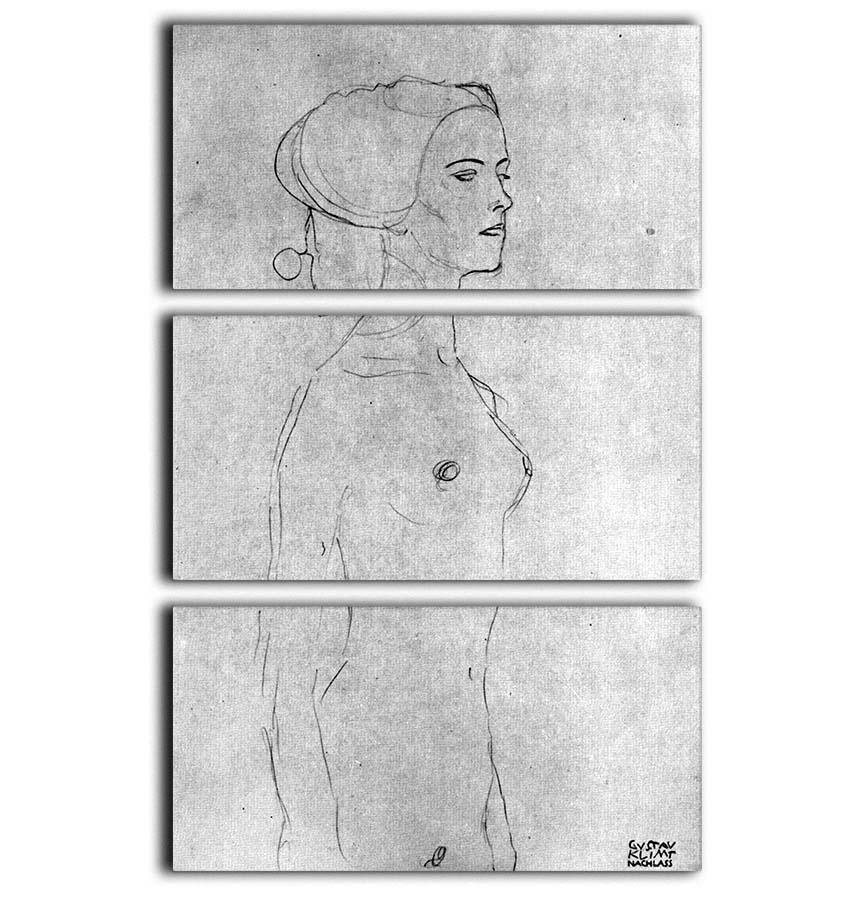Half a picture to the right Schreitenden by Klimt 3 Split Panel Canvas Print - Canvas Art Rocks - 1