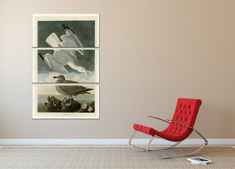 Herring Gull by Audubon 3 Split Panel Canvas Print - Canvas Art Rocks - 2