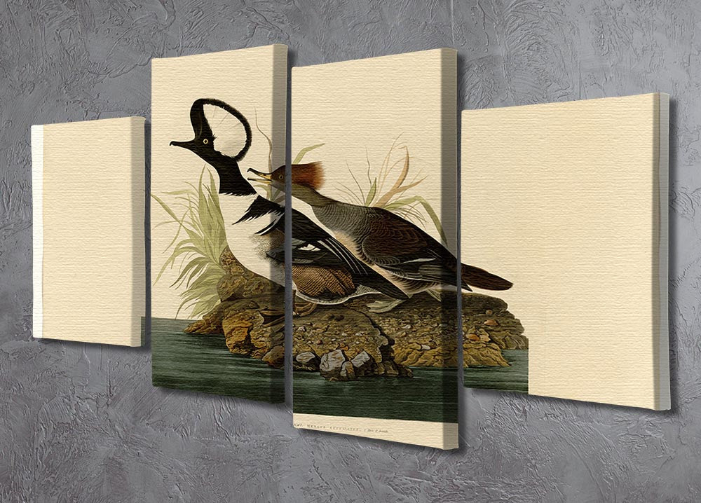 Hooded Merganser by Audubon 4 Split Panel Canvas - Canvas Art Rocks - 2