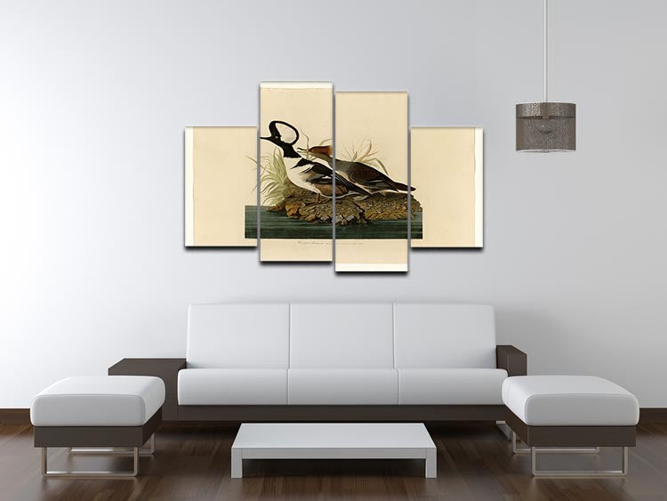 Hooded Merganser by Audubon 4 Split Panel Canvas - Canvas Art Rocks - 3