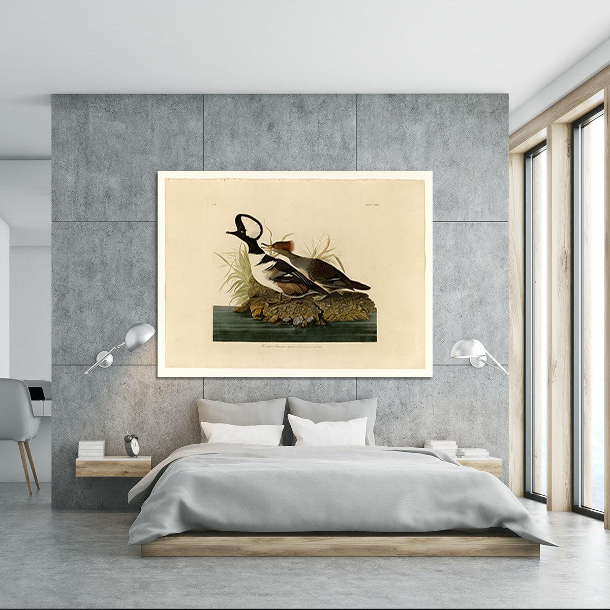 Hooded Merganser by Audubon Canvas Print or Poster - Canvas Art Rocks - 5