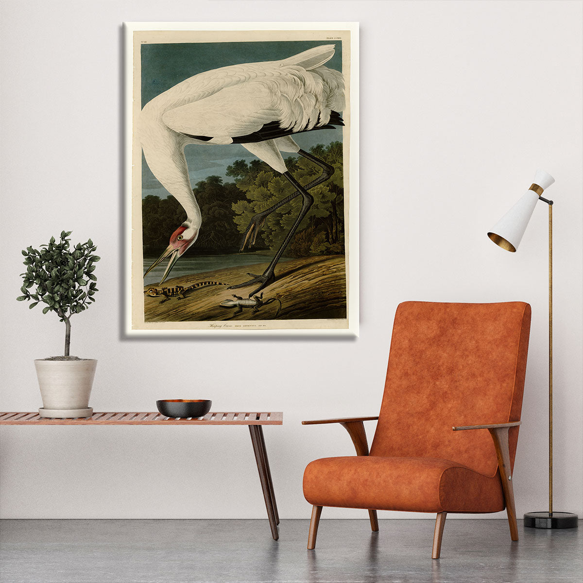 Hooping Crane by Audubon Canvas Print or Poster - Canvas Art Rocks - 6