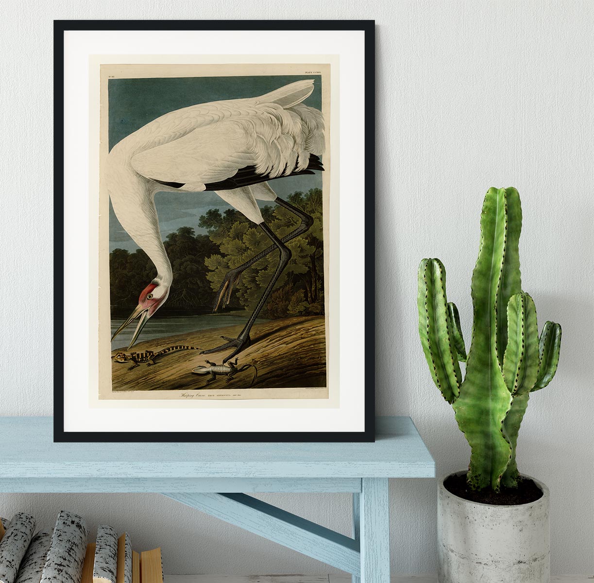 Hooping Crane by Audubon Framed Print - Canvas Art Rocks - 1