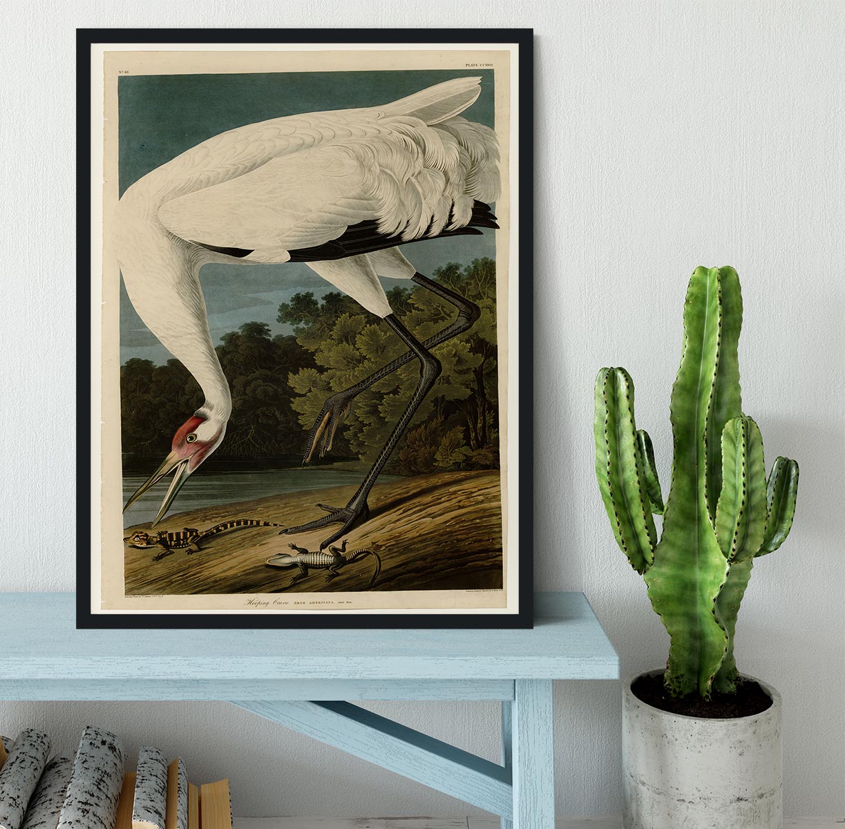 Hooping Crane by Audubon Framed Print - Canvas Art Rocks - 2