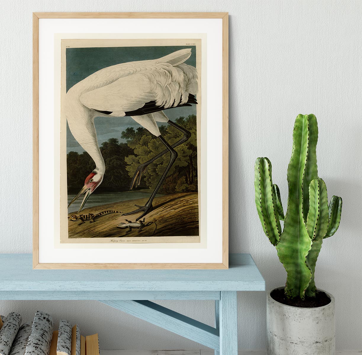 Hooping Crane by Audubon Framed Print - Canvas Art Rocks - 3