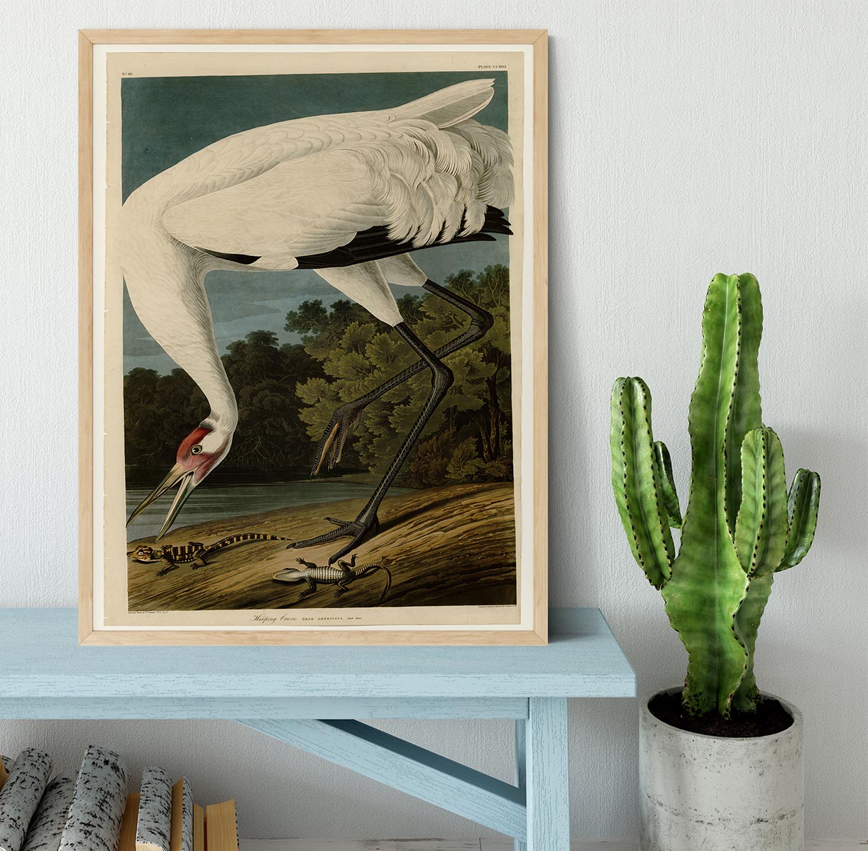 Hooping Crane by Audubon Framed Print - Canvas Art Rocks - 4
