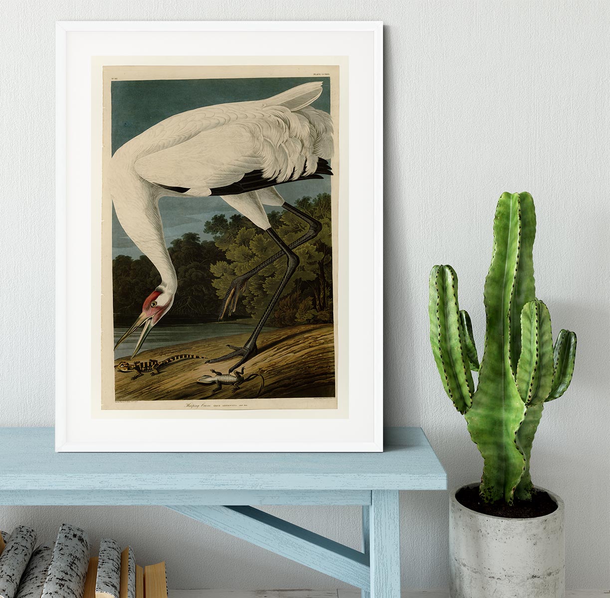 Hooping Crane by Audubon Framed Print - Canvas Art Rocks - 5