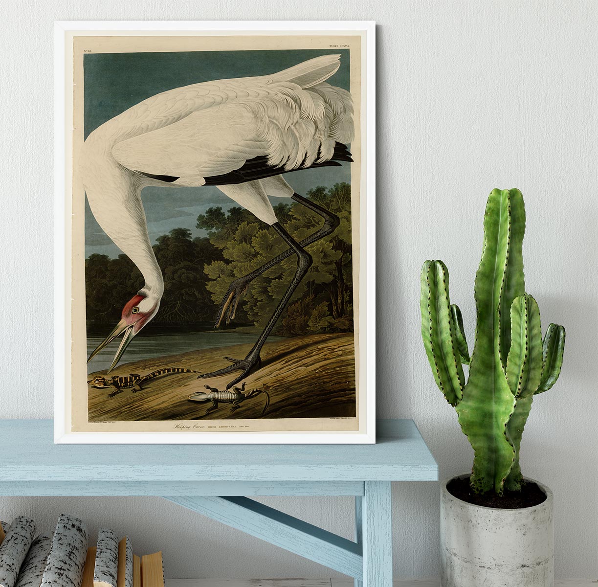Hooping Crane by Audubon Framed Print - Canvas Art Rocks -6