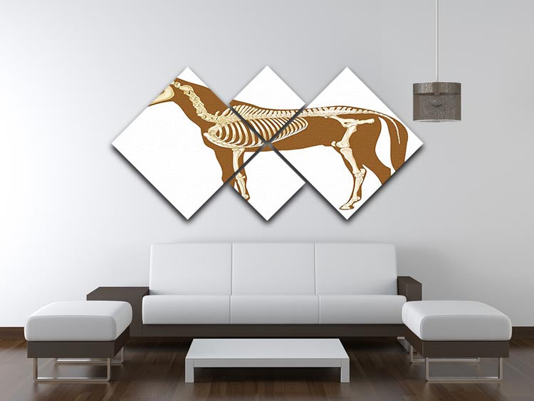 Horse skeleton section with bones x-ray 4 Square Multi Panel Canvas - Canvas Art Rocks - 3