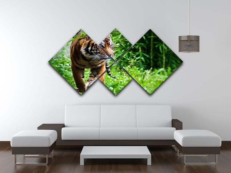 Hunting Tiger at the zoo 4 Square Multi Panel Canvas - Canvas Art Rocks - 3
