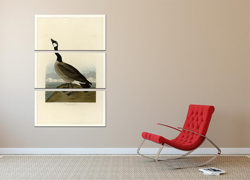 Hutchins Barnacle Goose by Audubon 3 Split Panel Canvas Print - Canvas Art Rocks - 2