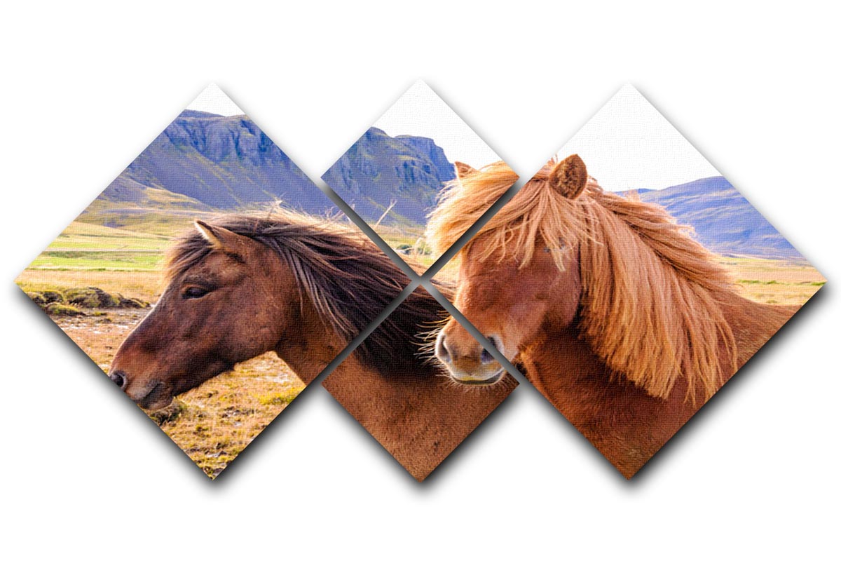 Icelandic horses 4 Square Multi Panel Canvas - Canvas Art Rocks - 1